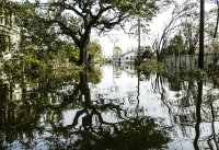 After Katrina