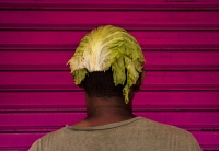 Cabbage Head
